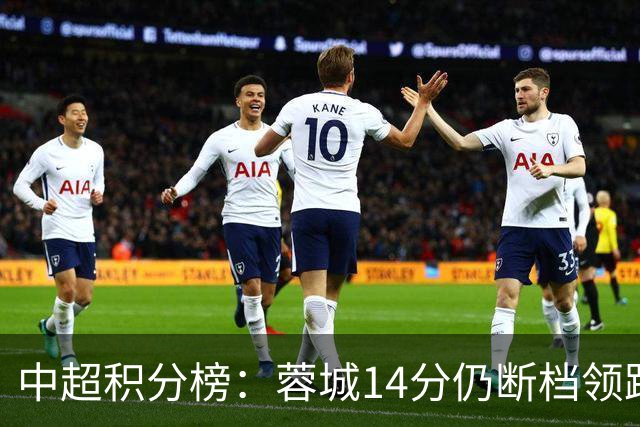 中超积分榜：蓉城14分仍断档领跑，降级区两队均获胜